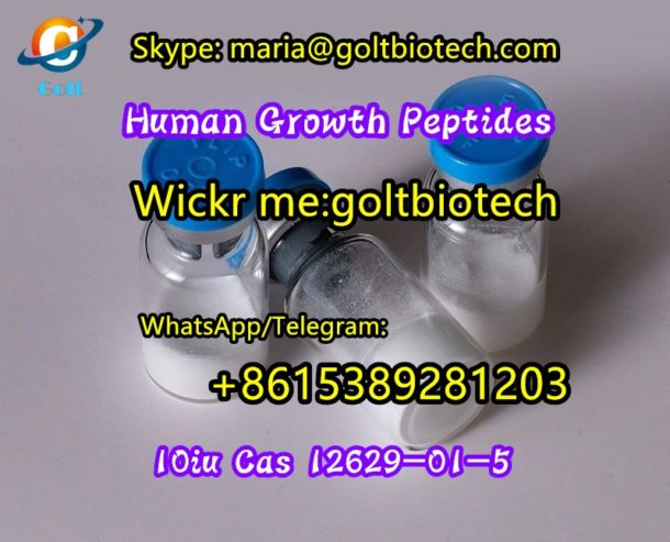 Human-Growth-Peptides-Cas-12629-01-5-10iu-supplier-18