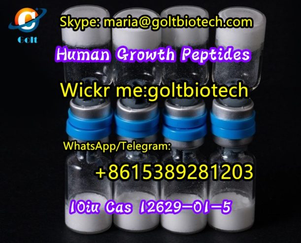 Human-Growth-Peptides-Cas-12629-01-5-10iu-supplier-19