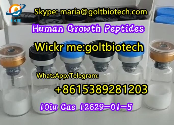 Human-Growth-Peptides-Cas-12629-01-5-10iu-supplier-7