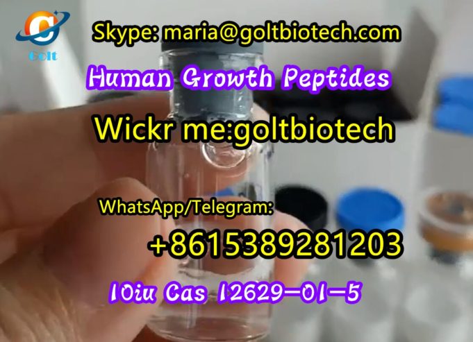 Human-Growth-Peptides-Cas-12629-01-5-10iu-supplier-8