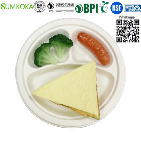 bagasse-plate-11