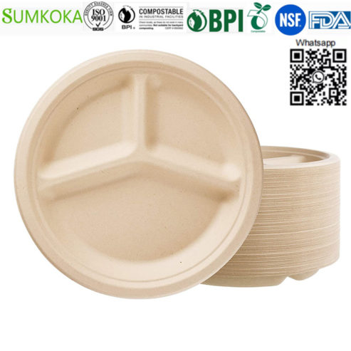 bagasse-plate-28