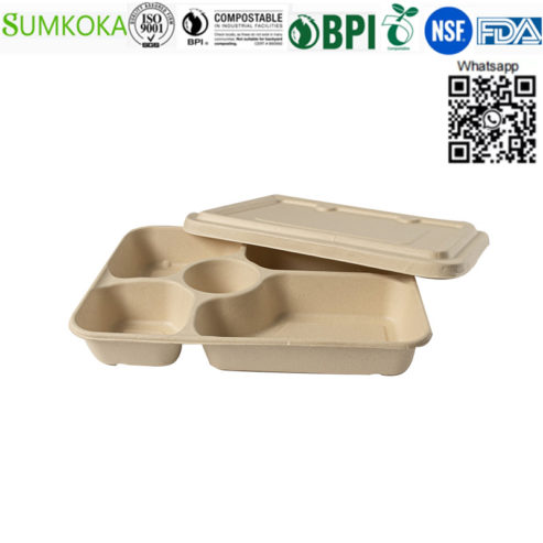 sugarcane-bagasse-tray-8