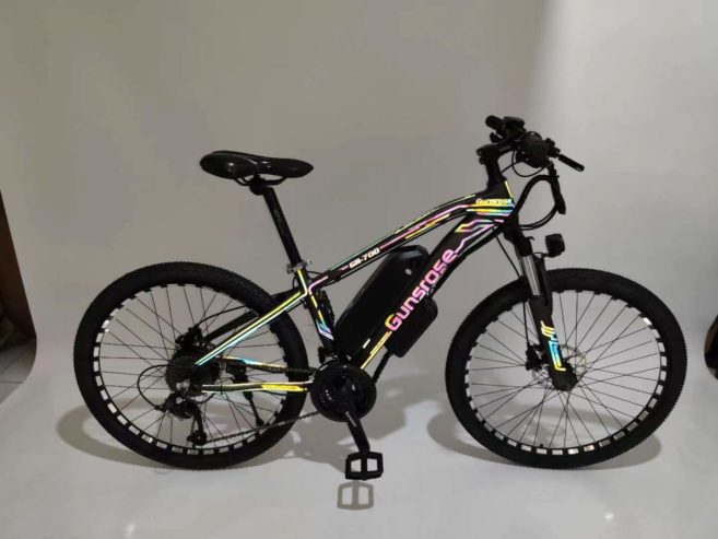 E-MTB-Electric-MTB3