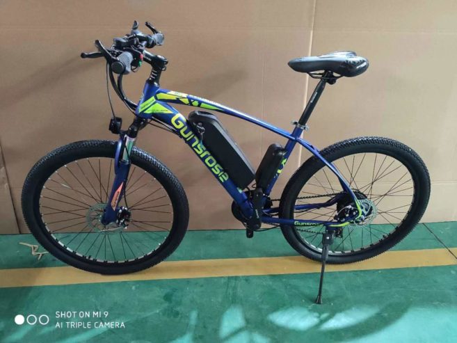 E-MTB-Electric-MTB4-2