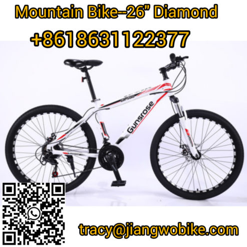 Mountain-Bike1