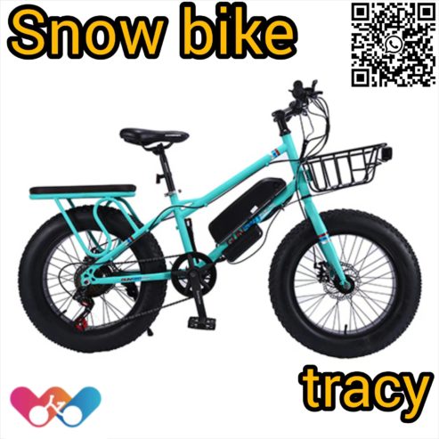 Snow-Bike1